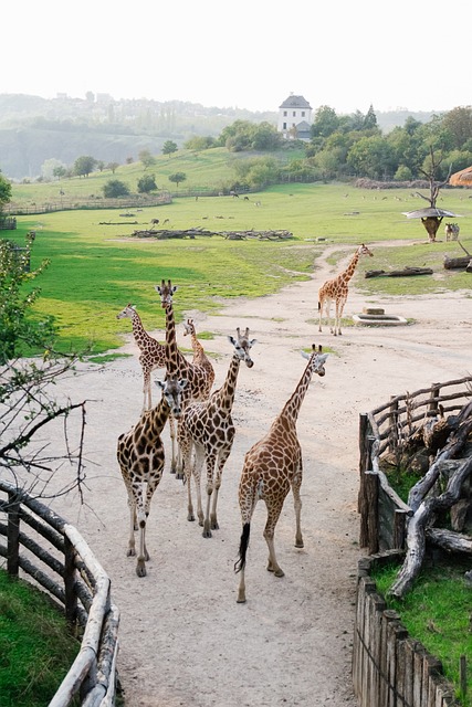 pražská ZOO